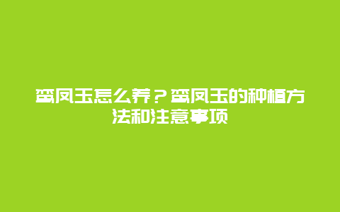 鸾凤玉怎么养？鸾凤玉的种植方法和注意事项