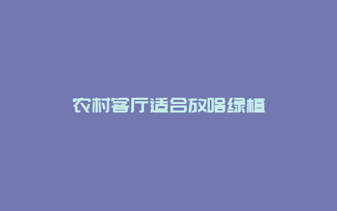 农村客厅适合放啥绿植