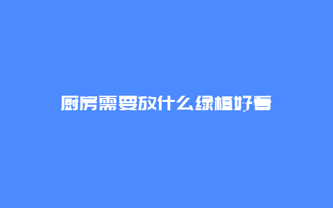 厨房需要放什么绿植好看