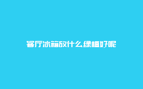 客厅冰箱放什么绿植好呢