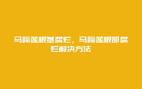 马蹄莲根茎腐烂，马蹄莲根部腐烂解决方法