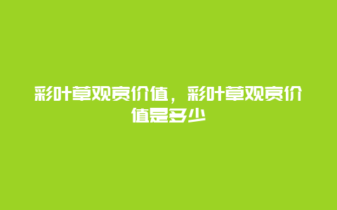 彩叶草观赏价值，彩叶草观赏价值是多少