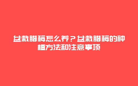 盆栽腊梅怎么养？盆栽腊梅的种植方法和注意事项