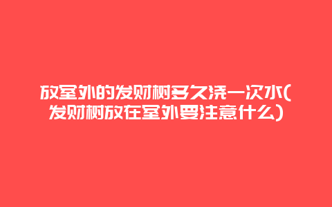 放室外的发财树多久浇一次水(发财树放在室外要注意什么)