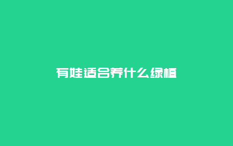 有娃适合养什么绿植