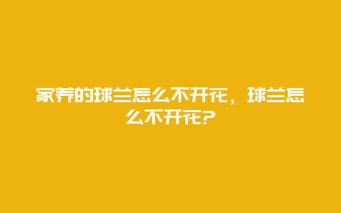 家养的球兰怎么不开花，球兰怎么不开花?