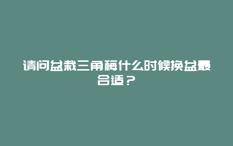 请问盆栽三角梅什么时候换盆最合适？