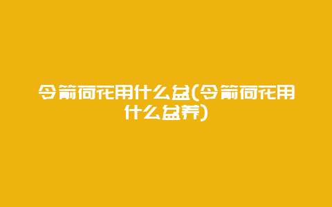 令箭荷花用什么盆(令箭荷花用什么盆养)