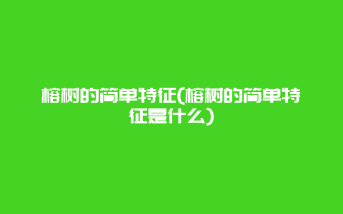 榕树的简单特征(榕树的简单特征是什么)