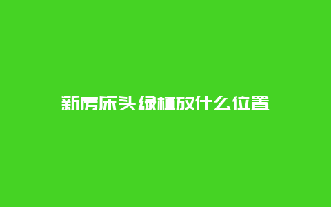 新房床头绿植放什么位置