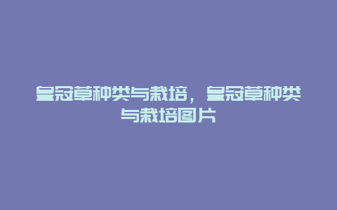 皇冠草种类与栽培，皇冠草种类与栽培图片