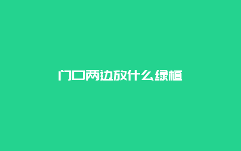 门口两边放什么绿植