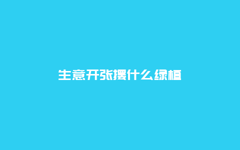 生意开张摆什么绿植