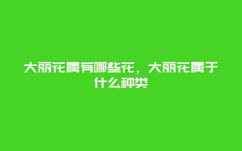 大丽花属有哪些花，大丽花属于什么种类