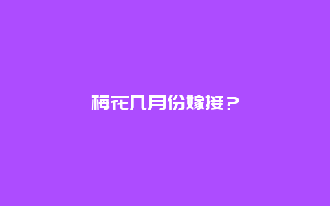 梅花几月份嫁接？