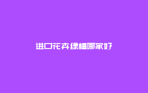 进口花卉绿植哪家好