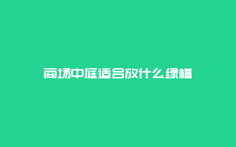 商场中庭适合放什么绿植