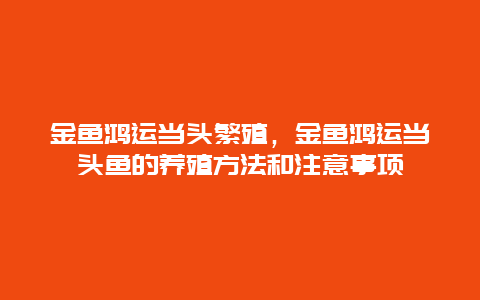 金鱼鸿运当头繁殖，金鱼鸿运当头鱼的养殖方法和注意事项