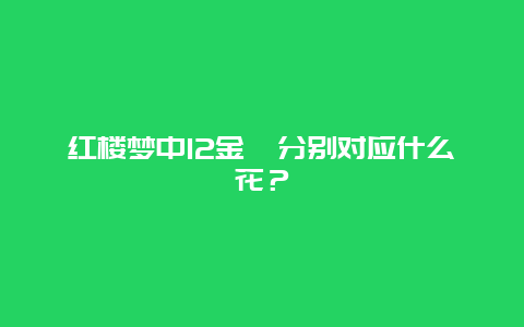 红楼梦中12金钗分别对应什么花？