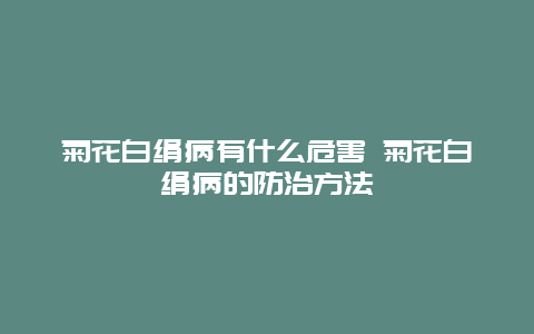 菊花白绢病有什么危害 菊花白绢病的防治方法