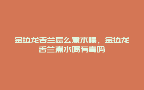 金边龙舌兰怎么煮水喝，金边龙舌兰煮水喝有毒吗