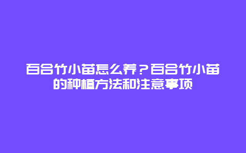 百合竹小苗怎么养？百合竹小苗的种植方法和注意事项