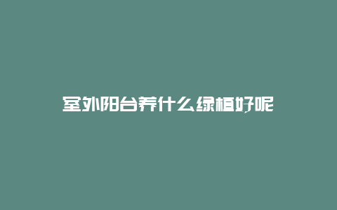 室外阳台养什么绿植好呢