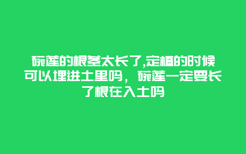 碗莲的根茎太长了,定植的时候可以埋进土里吗，碗莲一定要长了根在入土吗