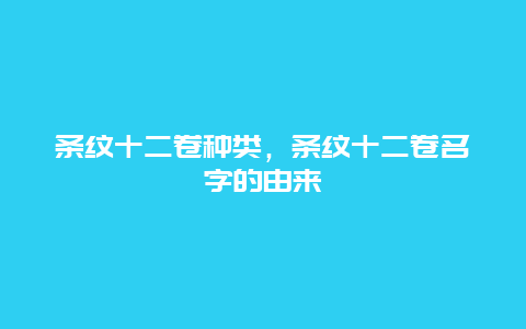 条纹十二卷种类，条纹十二卷名字的由来