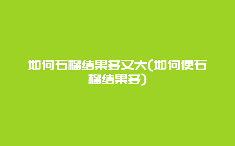 如何石榴结果多又大(如何使石榴结果多)