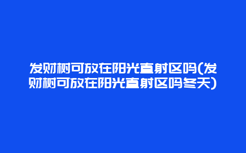 发财树可放在阳光直射区吗(发财树可放在阳光直射区吗冬天)