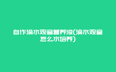 自作滴水观音营养液(滴水观音怎么水培养)