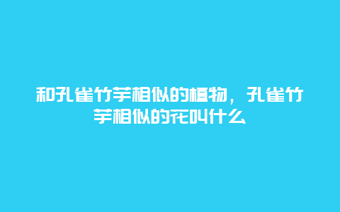 和孔雀竹芋相似的植物，孔雀竹芋相似的花叫什么