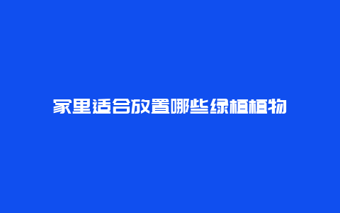 家里适合放置哪些绿植植物