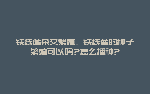 铁线莲杂交繁殖，铁线莲的种子繁殖可以吗?怎么播种?