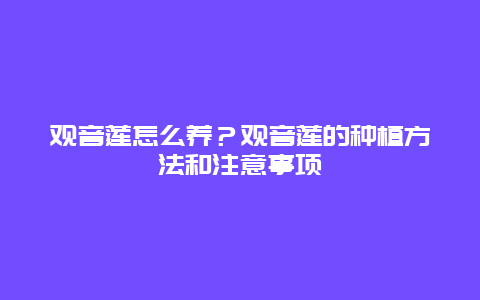 观音莲怎么养？观音莲的种植方法和注意事项