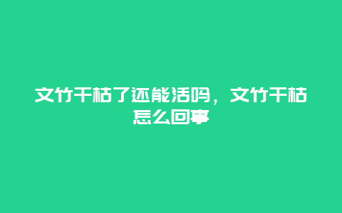 文竹干枯了还能活吗，文竹干枯怎么回事