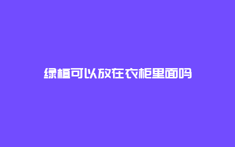 绿植可以放在衣柜里面吗