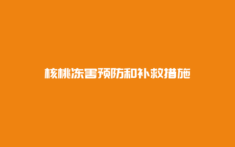 核桃冻害预防和补救措施