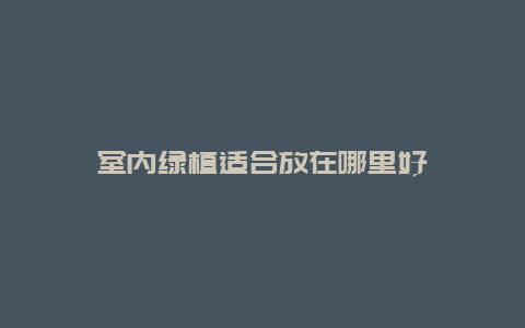 室内绿植适合放在哪里好