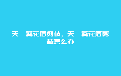 天竺葵花后剪枝，天竺葵花后剪枝怎么办