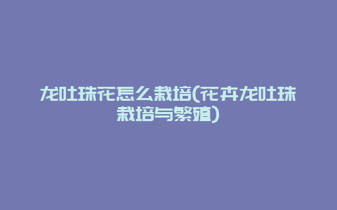 龙吐珠花怎么栽培(花卉龙吐珠栽培与繁殖)