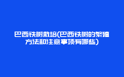 巴西铁树栽培(巴西铁树的繁殖方法和注意事项有哪些)