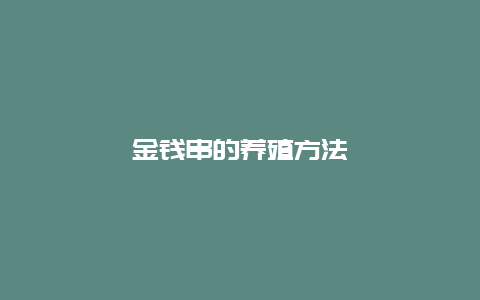 金钱串的养殖方法