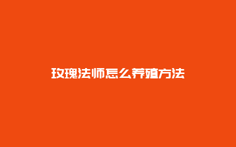 玫瑰法师怎么养殖方法