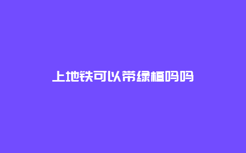 上地铁可以带绿植吗吗