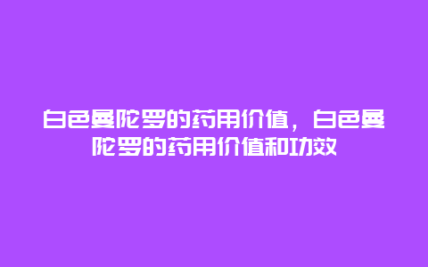 白色曼陀罗的药用价值，白色曼陀罗的药用价值和功效