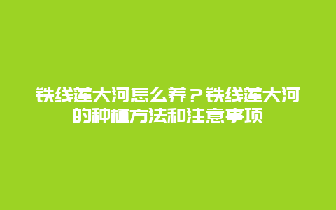 铁线莲大河怎么养？铁线莲大河的种植方法和注意事项