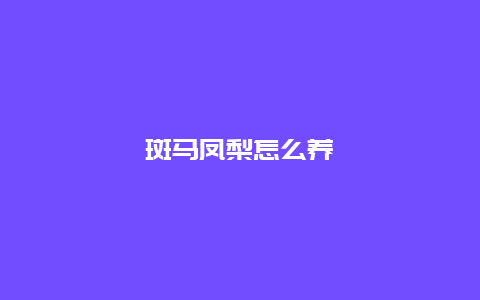 斑马凤梨怎么养