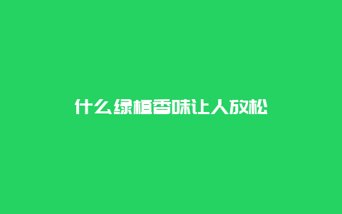 什么绿植香味让人放松